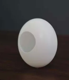 Silk to Egg (Economy)