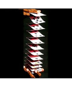 Accordion Cards By Uday by Uday - Trick