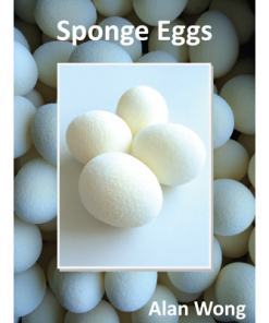 Sponge Eggs (4pk.) by Alan Wong