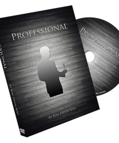 Professional DVD by Kim Hyun Soo - DVD