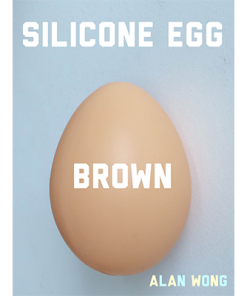 Silicone Egg (Brown) by Alan Wong - Trick