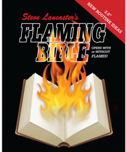 Flaming Book (bible - electronic)