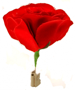 Match to Rose - Trick