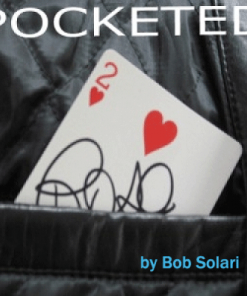 Pocketed (red)  by Bob Solari