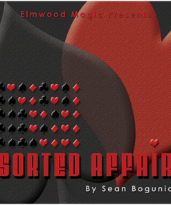 Sorted Affair (2013) by Sean Bogunia