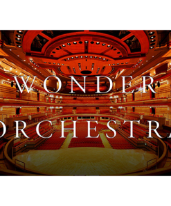 Wonder Orchestra (Glass / Loud) by King of Magic - Trick