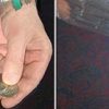 Animated Coin in Bottle - George Schindler Animated Coin in Bottle - George Schindler