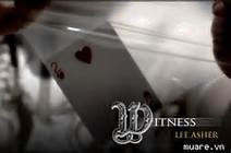 Witness -(DVD) Lee Asher