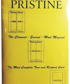 Pristine (book) - Wesley James (LIMITED EDITION)