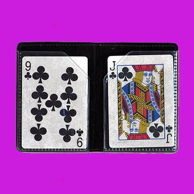 Optical Wallet (aka Transpo Cards / aka Melt) Optical Wallet (aka Transpo Cards / aka Melt)