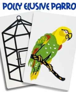 Polly the elusive Parrot Polly the elusive Parrot