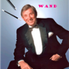 Wistful Wand - Trevor Lewis