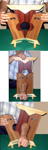 Plate thru Arm Penetration (Arm Guillotine)