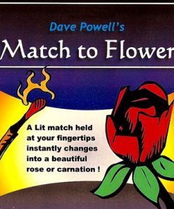 Match to Flower - Dave Powell
