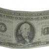 One Hundred Dollar Bill Silk