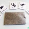 Animals Prediction - Hiro Sakai / Black Hat Magic