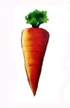 Carrot Culprit (Jumbo) - Ian Adair
