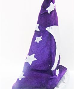 Wizard Hat (purple)