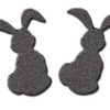 Gray Hair (Grey Hare)