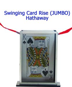 Swinging Card Rise (Jumbo) - Hathaway                       PREOWNED