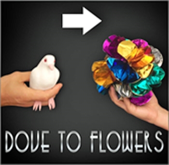 Dove to Flowers - Magic Latex