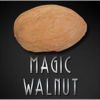 Latex Walnut (Pair) - Magic Latex