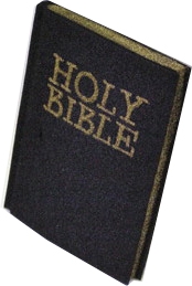 Sponge Bible