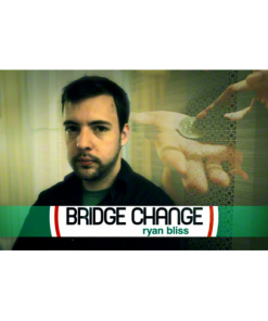 Bridge Change by Ryan Bliss video DOWNLOAD
