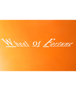 Wheel Of Fortune by Deepak Mishra - Video DOWNLOAD