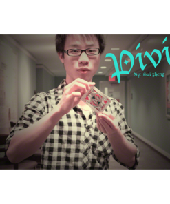 Pivit by Hui Zheng Video DOWNLOAD