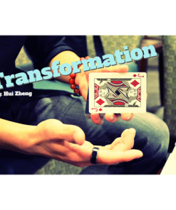 Transformation by Hui Zheng - Video DOWNLOAD