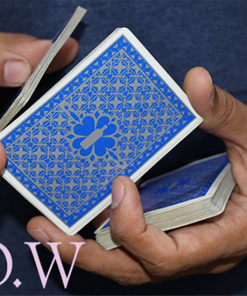 Magic Encarta Presents F.L.O.W by Vivek Singhi - Video DOWNLOAD