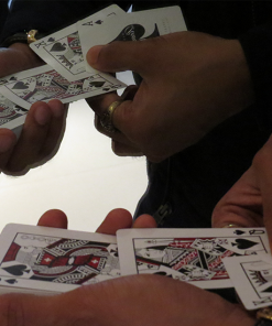 Magic Encarta Presents The Royal Flash by Vivek Singhi - Video DOWNLOAD
