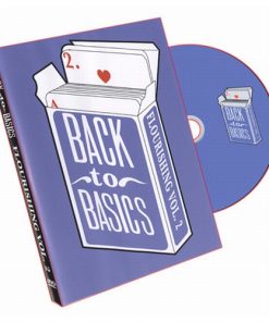 Back To Basics: Flourishing Vol. 2 - DVD