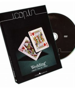 The Wedding (DVD) - Bruno Copin
