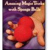 Amazing Magic Tricks with Sponge Balls (DVD)