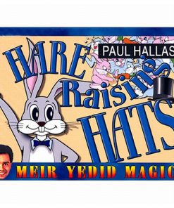 Hare Raising Hats - Paul Hallas