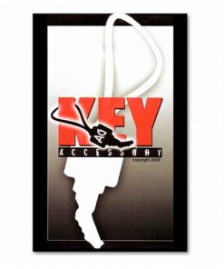 Key Accessory by Andrew Gerard - Trick Key Accessory by Andrew Gerard - Trick