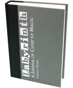 Stephen Hobbs Labyrinth (book) - Kaufman and Company