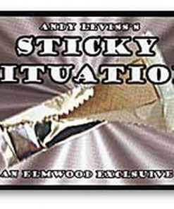 Sticky Situation - Andy Leviss