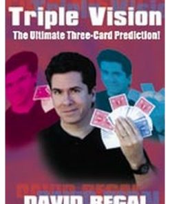 Triple Vision - David Regal Triple Vision - David Regal