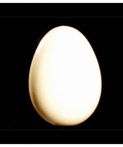 Wooden Egg