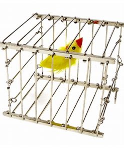 Vanishing Bird Cage