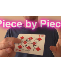 Piece by Piece by Aaron Plener - Video DOWNLOAD