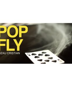 Pop Fly by Bizau Cristian video DOWNLOAD