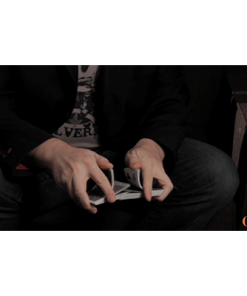 Riffle Shuffle Action Palm by Michael Feldman video DOWNLOAD