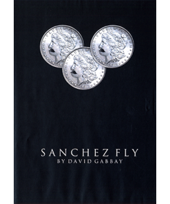 Sanchez Fly by David Gabbay - video - DOWNLOAD