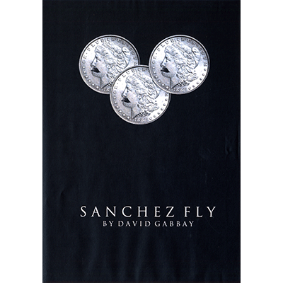 Sanchez Fly by David Gabbay - video - DOWNLOAD Sanchez Fly by David Gabbay - video - DOWNLOAD
