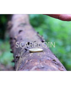Scare Coin by Arnel Renegado - Video DOWNLOAD