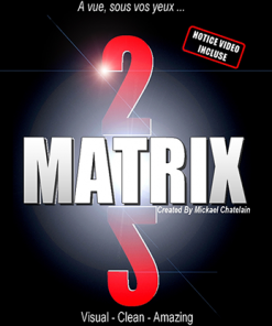 Matrix 2.0 (Blue) by Mickael Chatelain - Trick